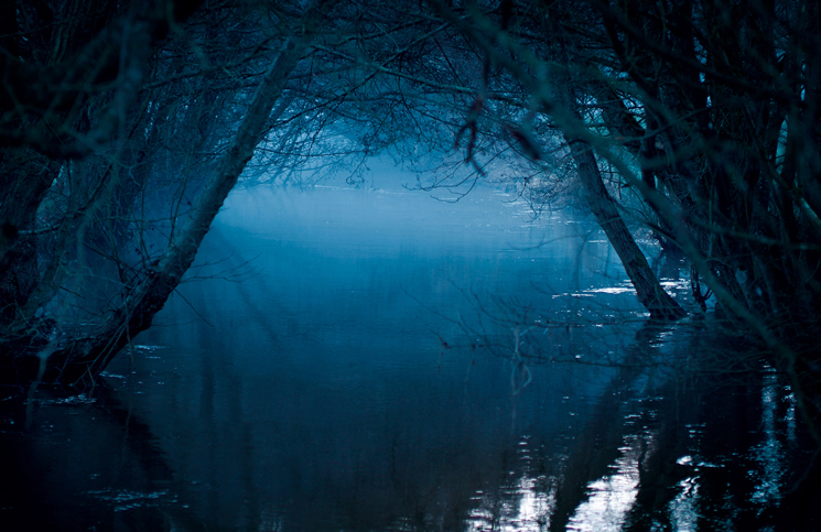 naturfotografie pfalz und baden baden