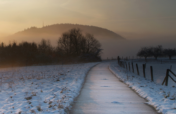 naturfotografie pfalz und baden baden